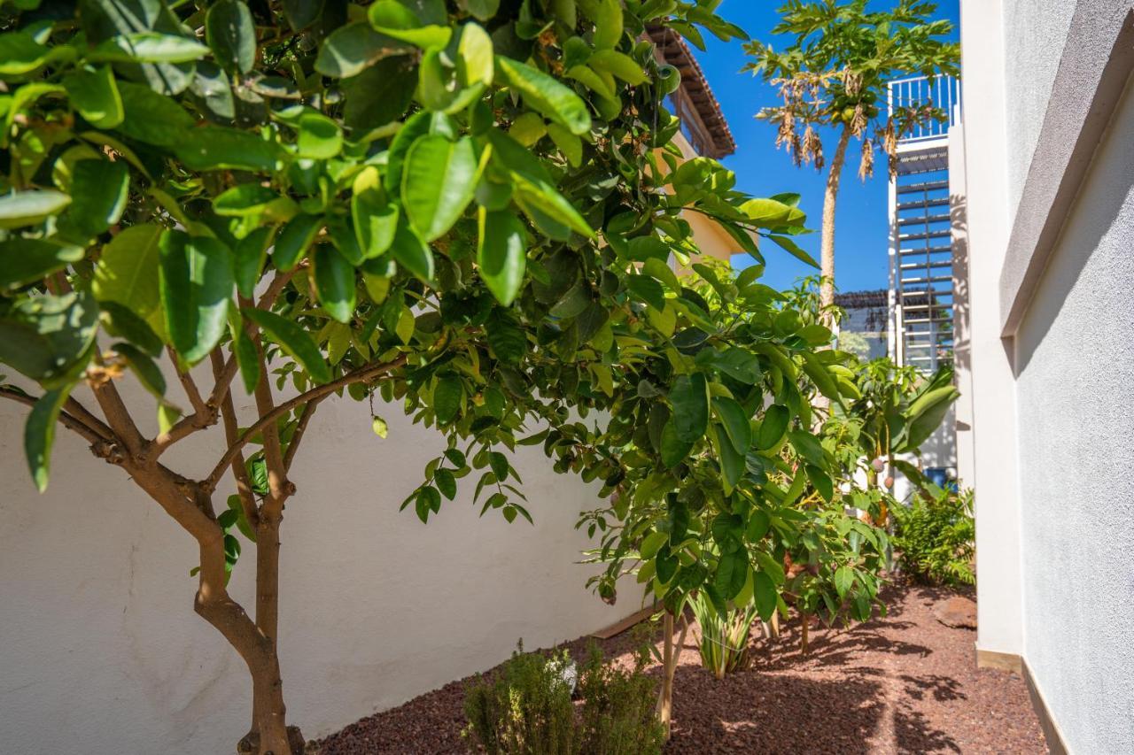 Villa La Laja With 5 Bedrooms And Sea View كالاو سالفاجي المظهر الخارجي الصورة